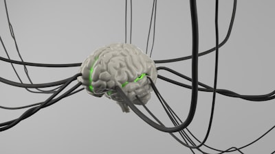 Redes Neuronales Profundas para Supervivencia Parcialmente Lineal