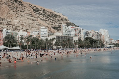 Automatización de entrada de datos para empresas en Alicante