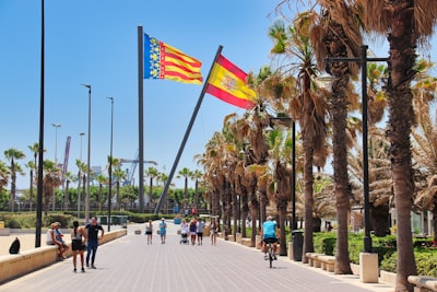 Encuentra la mejor aplicación de escritorio empresarial en Valencia