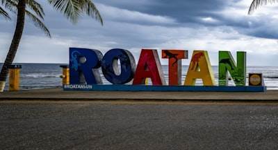 Mejores 10 empresas de inteligencia empresarial en La Orotava