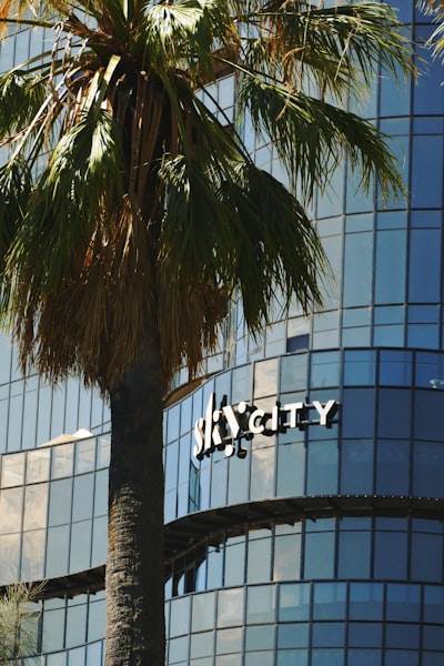 Mejores empresas de IA en Alcoy