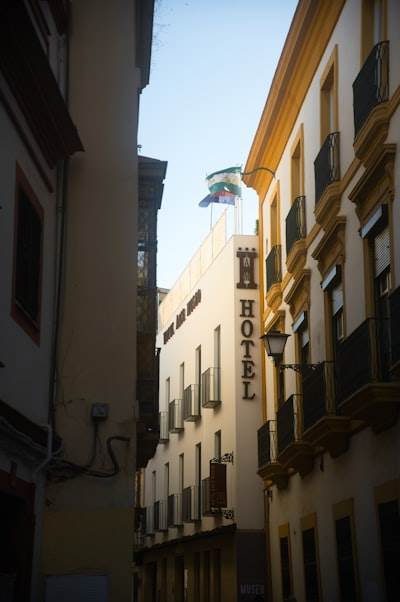 Socio oficial de bots de Telegram en Sevilla - Más de 15 años de experiencia.