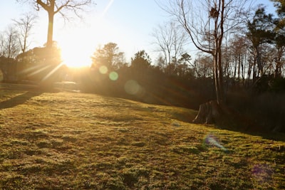 Expert Landscaping Services and Hardscape Solutions in Wilmington, NC