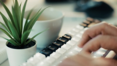 Software esencial para escritores freelance