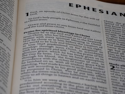 Jikipedia revela los poderosos amigos de Epstein en sus correos electrónicos