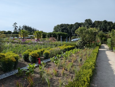 Socio con más de 15 años de experiencia en empresa de jardinería en Murcia