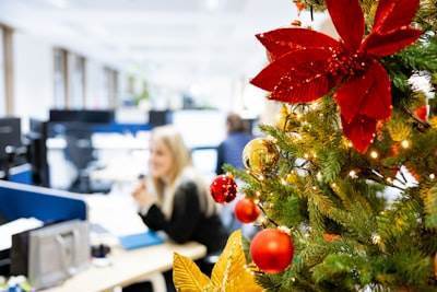 Top 50 Professional Enterprise Software Services Companies in Santa Coloma