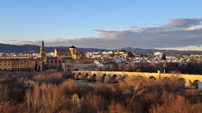 Empresas líderes en automatización de costos en Córdoba