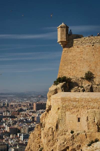 Mejores Empresas de Desarrollo de Aplicaciones a Medida en Alicante