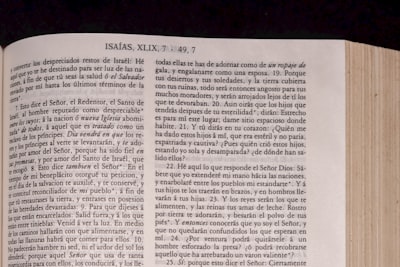 Esta app de 20 años me hizo redescubrir mi Kindle