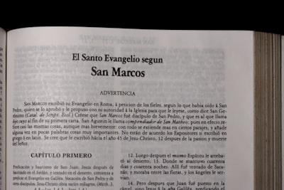 Portal de inquilinos: cómo funciona en las renovaciones de alquiler