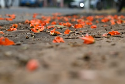 Plan de resiliencia ante fallas: Aprender de los errores.