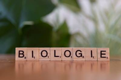 ¿Qué es el Hidrógeno (H2)?