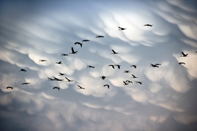 Expertos en migración a la nube de Azure en Barcelona