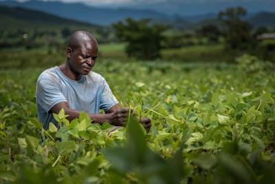 AgriTech: AI + Blockchain for African Agriculture