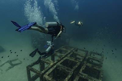 Construcción de un Emparejador de Arqueología: Enfoque Multimodal