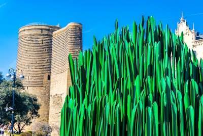 Top 20 Empresas de bots de WhatsApp en Castelldefels