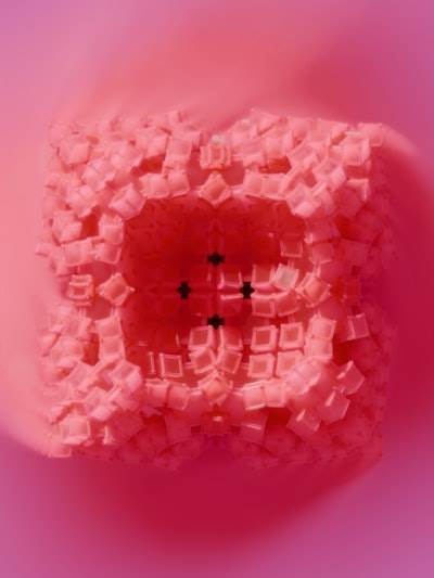 Desbloqueando el reconocimiento de emociones con una Raspberry Pi
