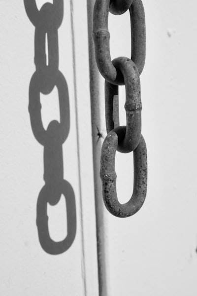 Scribe Security y la IA: impulsando la confianza en el suministro de bienes