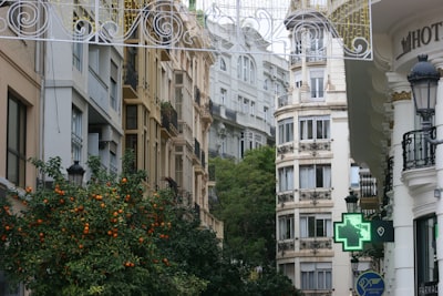 Robots de Microsoft Teams para empresas en Valencia