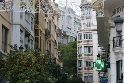 Los 20 mejores expertos en chatbots en Valencia