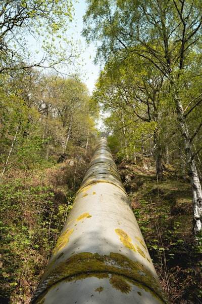 Implementación de un pipeline LLM local con Opik para IA transparente y reproducible
