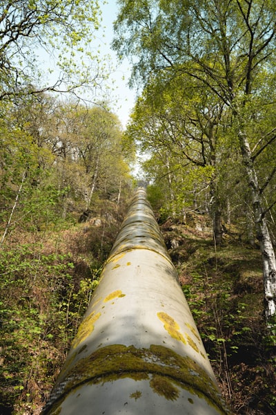 Desglose del pipeline de inteligencia artificial de FlashFX