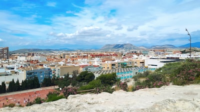 Comparativa 2026: mejores portales de miembros con biblioteca de contenidos en Alicante