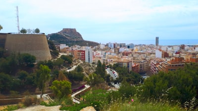 Deja de perder tiempo con informes manuales en Alicante 2026