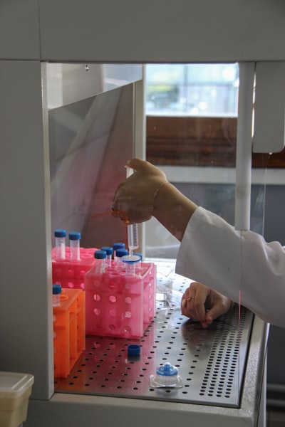 Mi servidor de laboratorio doméstico dividió en ocho