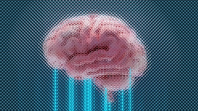 Leyes de Escala Neurales