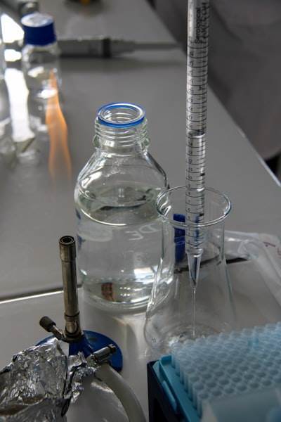 Destilación de membrana criogénica para extraer compuestos bioactivos del espino amarillo