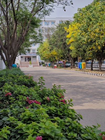 Top 5 Universities in Chandigarh