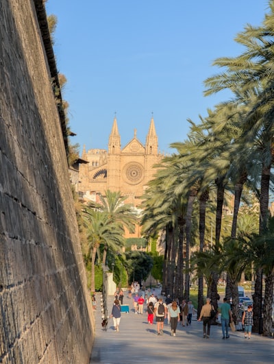 Creamos aplicaciones ChatGPT en Palma