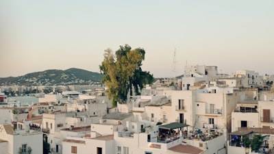 Experto en sistemas de inteligencia artificial telefónica en Ibiza
