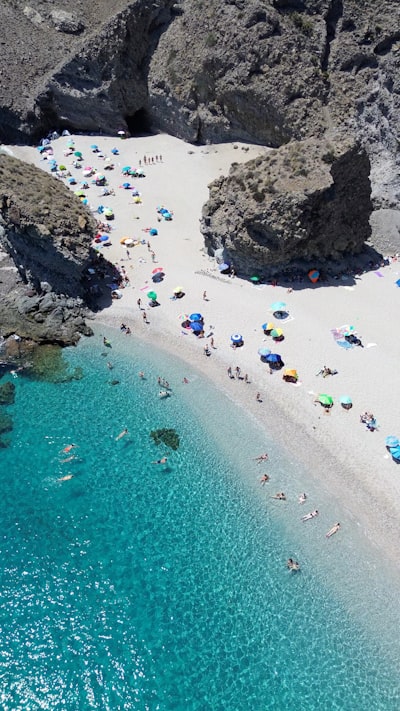 Los 30 mejores especialistas en bots de Instagram en Almería