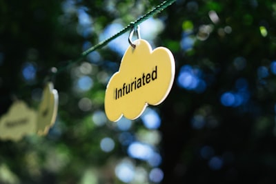 Beneficios de la intranet marketplace en industrias verdes