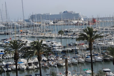 Custom Fleet Management Software in Palma