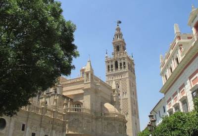 Principales expertos en bots de telegram en Sevilla