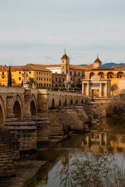 Top 20 Programación Personalizada en Salamanca