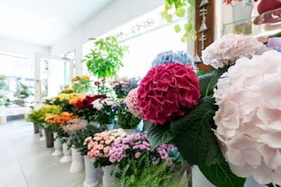¿Evolución del sistema de gestión de floristerías?