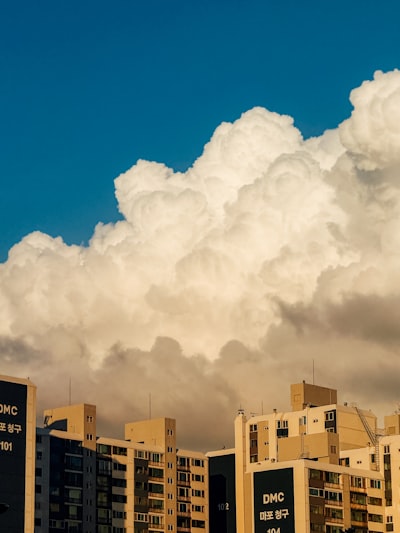 How SaaS Cloud-Based Solutions Contribute to Sustainable Business Practices?