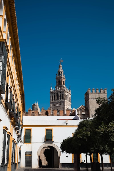 Encuentra copias de seguridad automáticas en Sevilla.