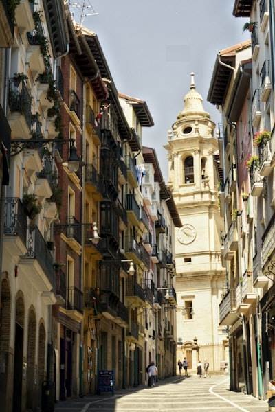 Bots de Telegram en Pamplona