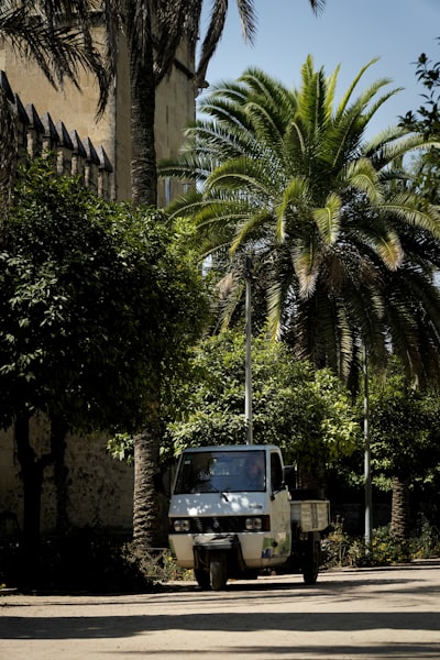 Servicios de automatización de incorporación de SaaS en Córdoba