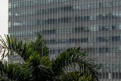 Mejores 3 empresas de codificación en Zaragoza con ambiente seguro empresarial