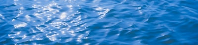 Segmentación de instancias marinas con mejora geométrica y alineación semántica