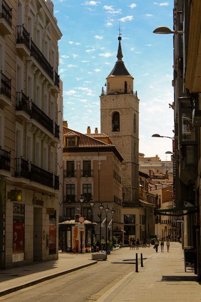 Los 15 mejores especialistas en renovación automatizada de pólizas en Valladolid