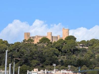 Las mejores empresas para n8n en Castelldefels