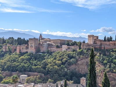 Empresas líderes en automatización cognitiva en Granada